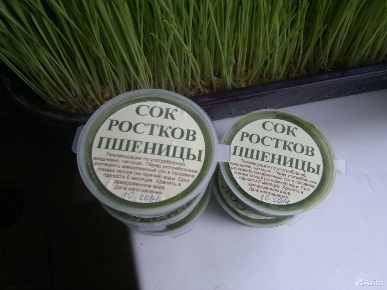 Сок из ростков пшеницы купить на Зозу.ру - фотография № 3