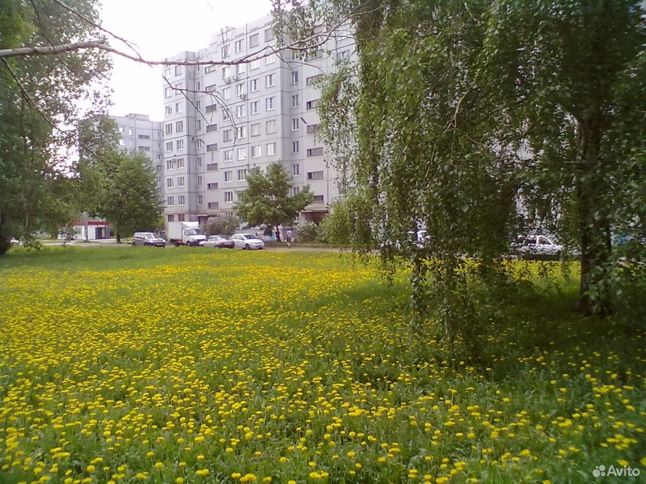 Купить Квартиру В Тольятти Центральный Мира