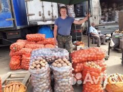 Картошка деревенская купить на Зозу.ру - фотография № 3