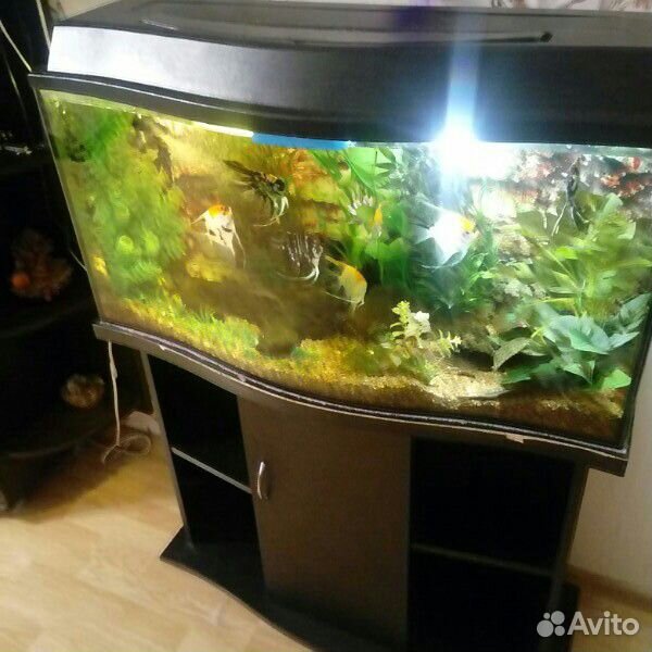 Продам аквариум 130л с тумбой купить на Зозу.ру - фотография № 3