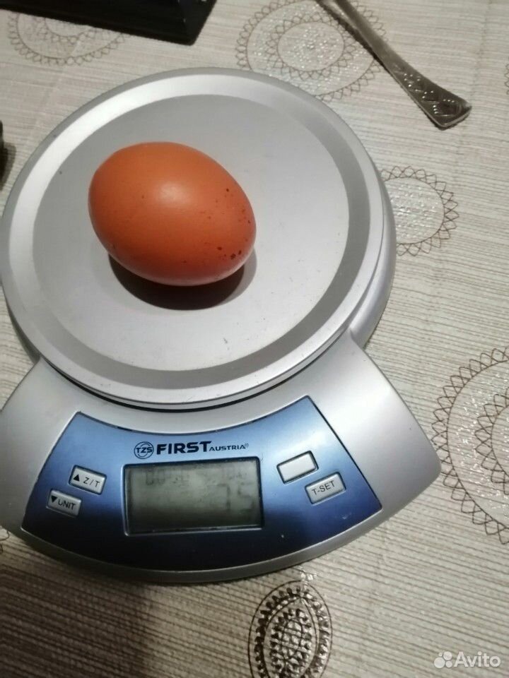 Продам Яйца от домашней птицы купить на Зозу.ру - фотография № 2