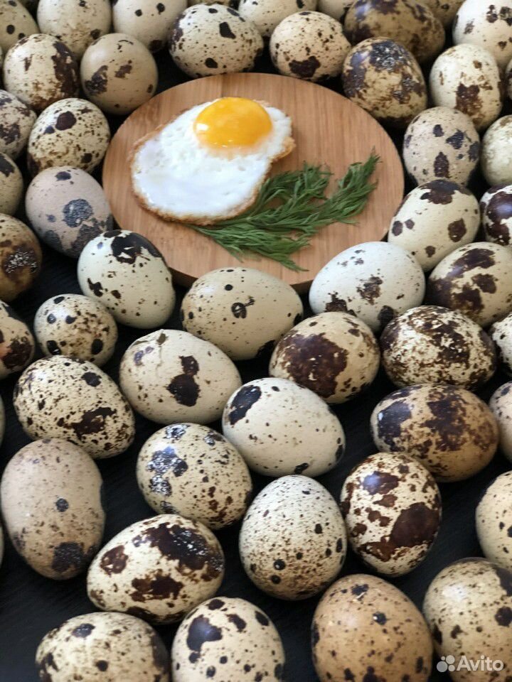 Яйца перепелиные 30шт купить на Зозу.ру - фотография № 1