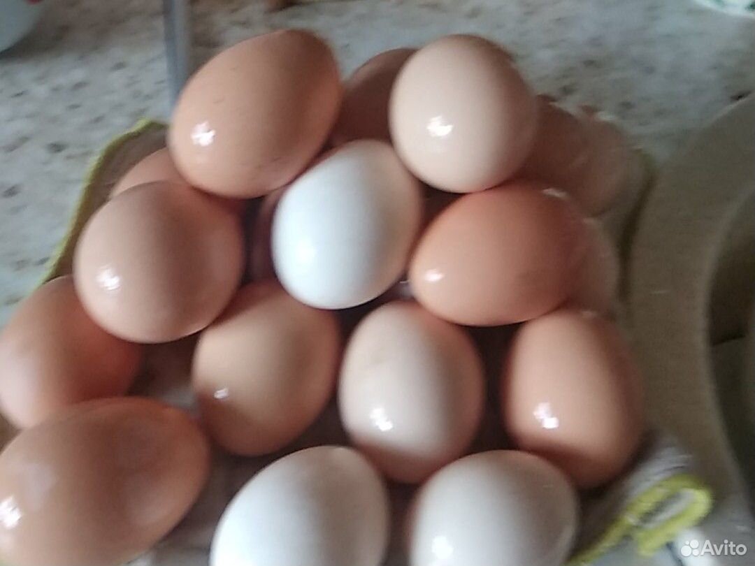 Яйца куриные р купить на Зозу.ру - фотография № 1