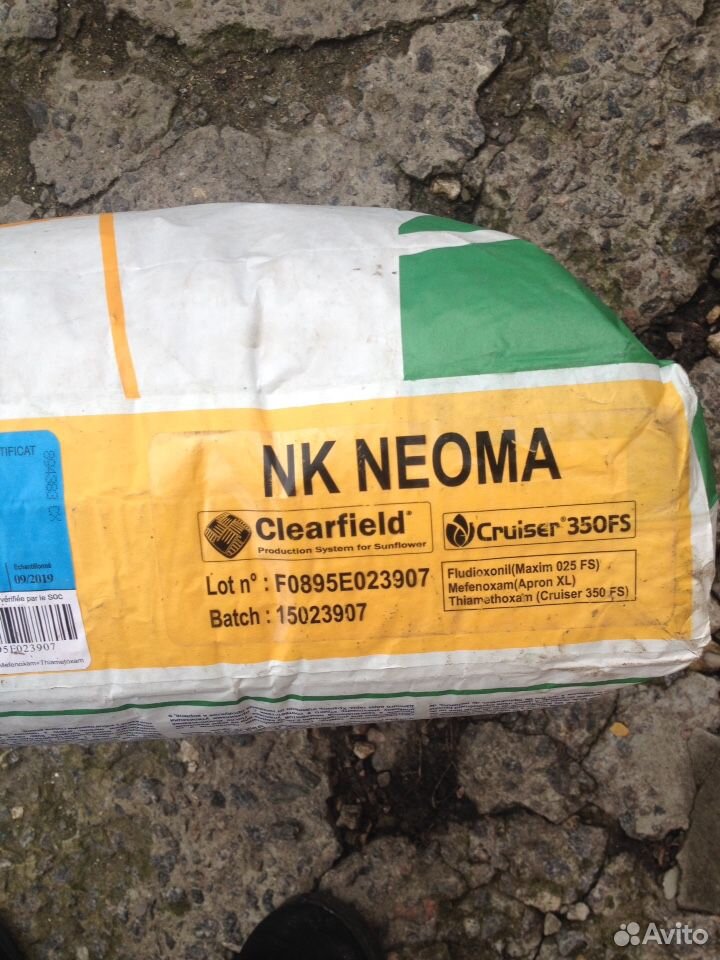 Семена подсолнечника.NK neoma-pioner-под гранстар купить на Зозу.ру - фотография № 1
