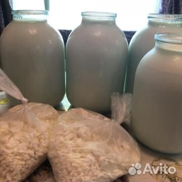 Молочна продукция купить на Зозу.ру - фотография № 3