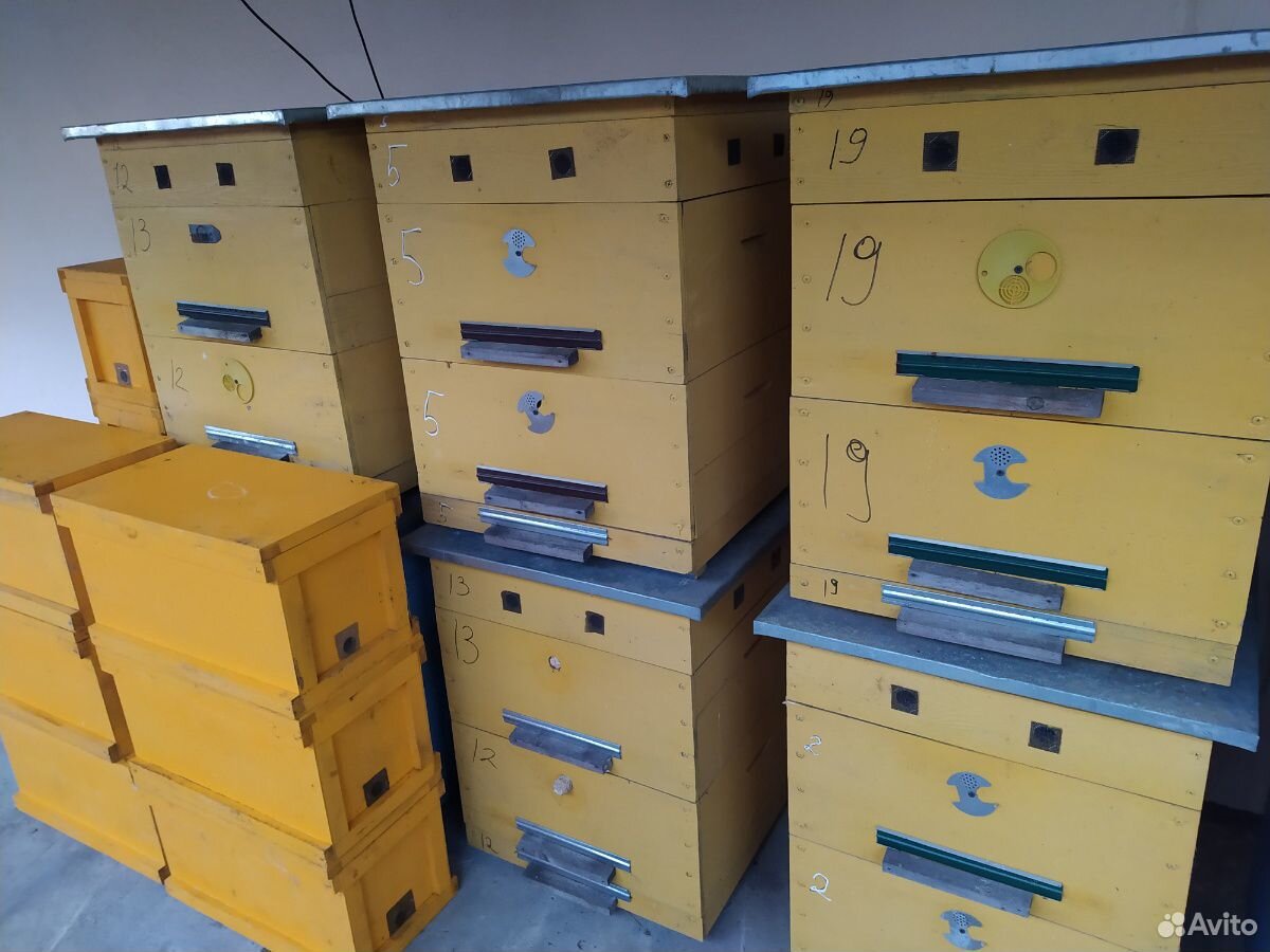 Ящики для пчел купить на Зозу.ру - фотография № 4