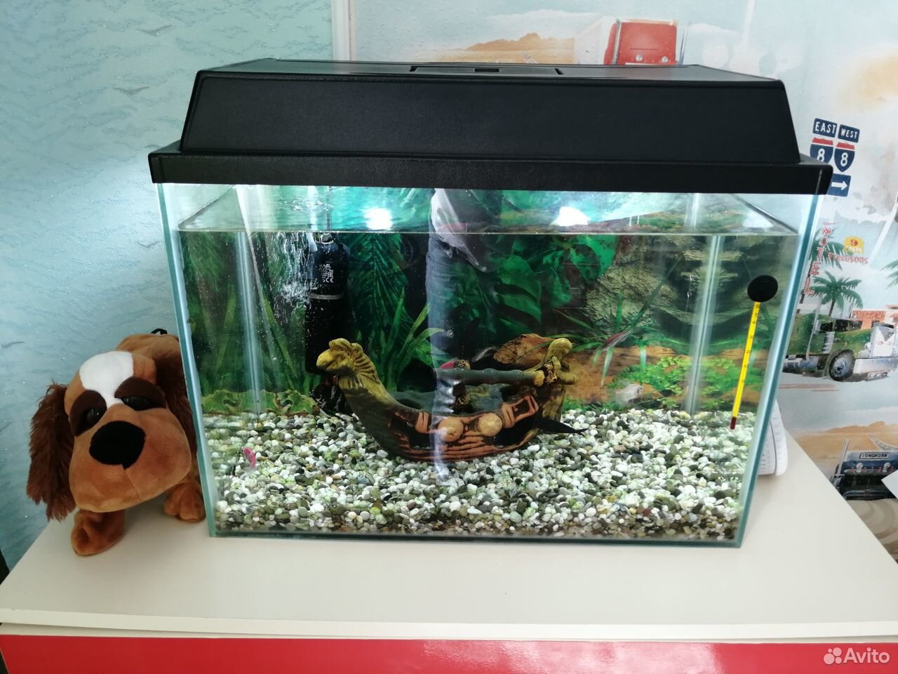 Продам аквариум с рыбками купить на Зозу.ру - фотография № 3