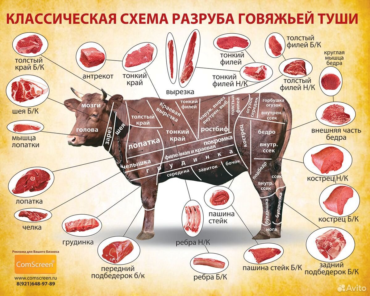 Корова на мясо (торг обмен нет) купить на Зозу.ру - фотография № 1