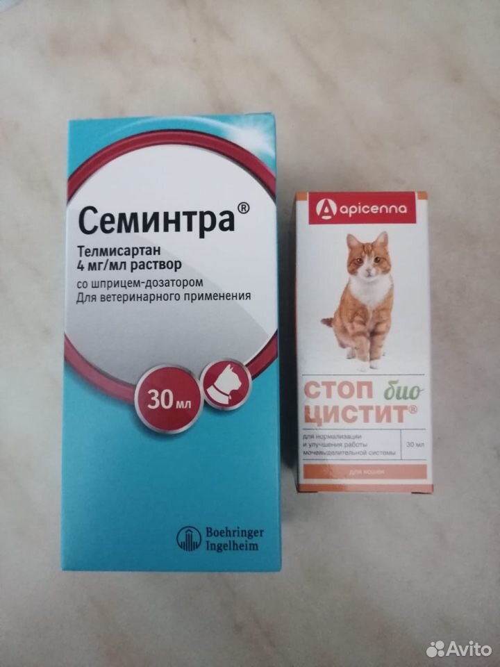 Ветеринарные препараты, корм купить на Зозу.ру - фотография № 1