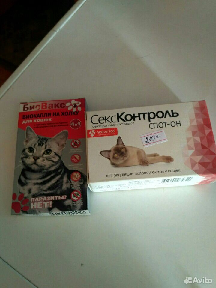 Препараты для кошек купить на Зозу.ру - фотография № 1