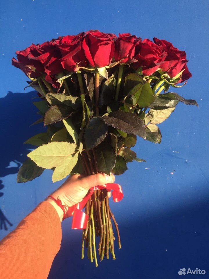 Розы купить на Зозу.ру - фотография № 6