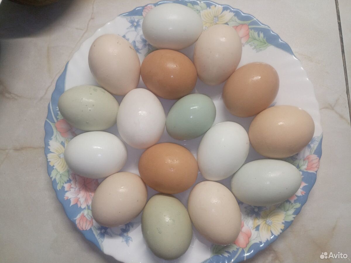 Домашние куриные яйца, творог, квашеная капуста, д купить на Зозу.ру - фотография № 1