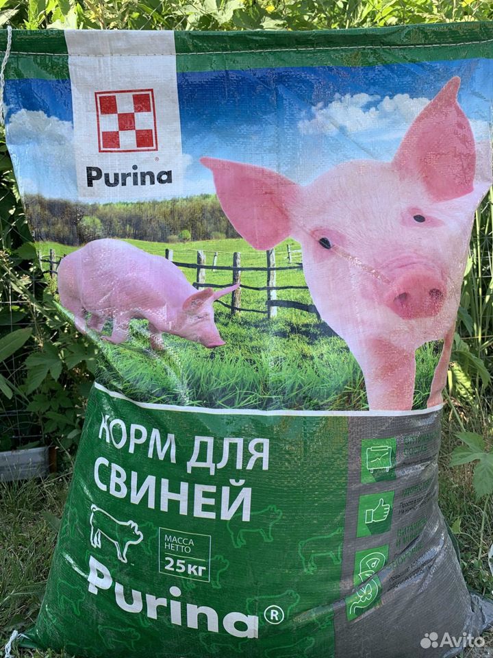Комбикорм для свиней престартер purina купить на Зозу.ру - фотография № 1