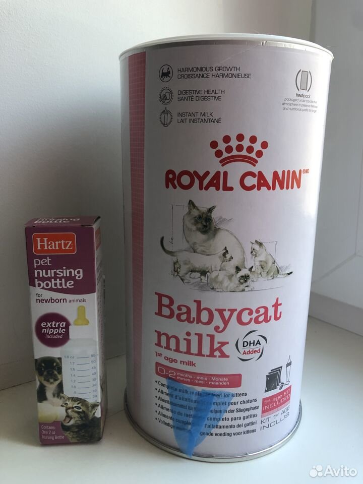 Авито молочный. Royal Canin молоко для котят. Роял молоко. Молочко Роял Канин для собак. Роял Канин молоко для котят инструкция.