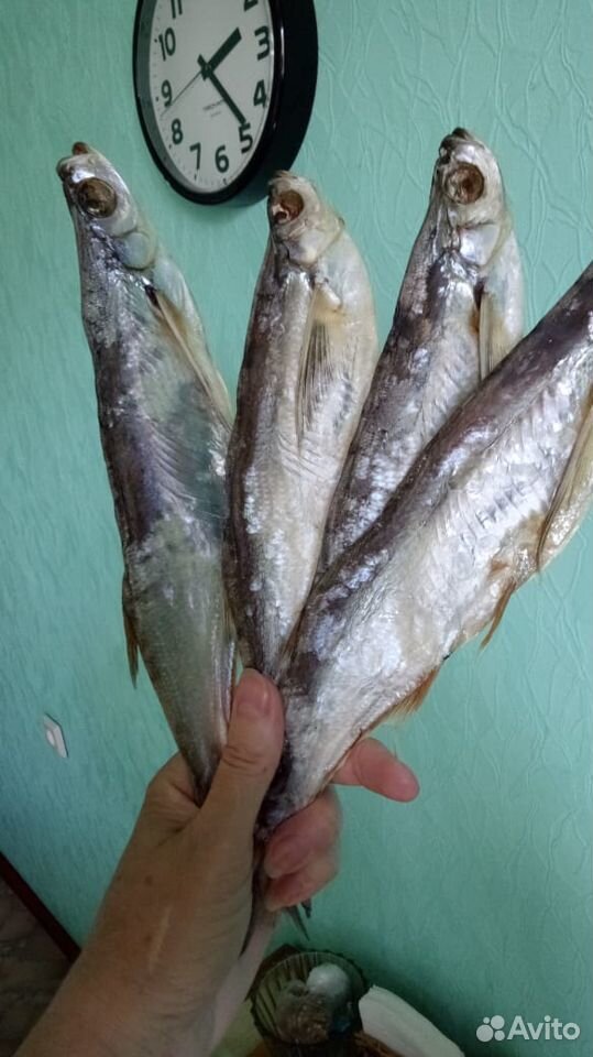 Рыбка астраханская домашнего качества купить на Зозу.ру - фотография № 3