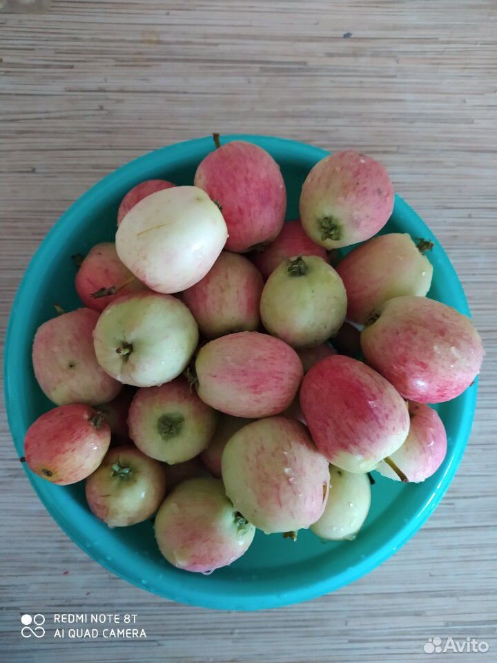 Яблоки свежий урожай купить на Зозу.ру - фотография № 1