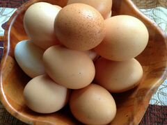 Домашнии яйца