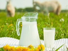 Молоко козье фермерское Для питания детей