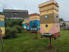 Продам две семьи пчел средне русских