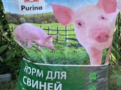 Комбикорм для свиней престартер purina