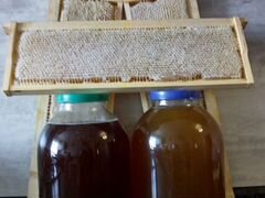 Мед и медовые рамки урожай 2020 оптом