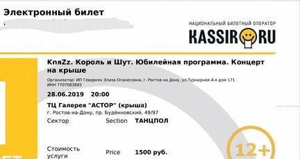 Билет на концерт Князя