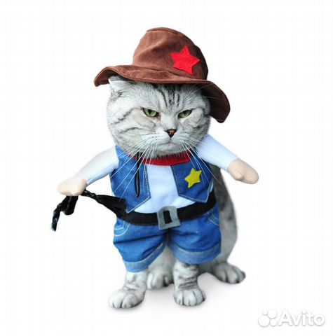 Новогодний Костюм Для Кота