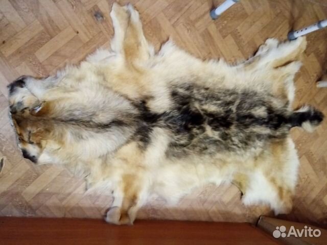 Шкура волка