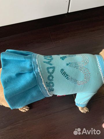 Платье на собачку