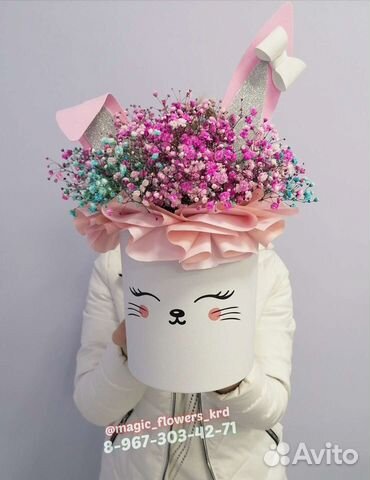 Гипсоффила