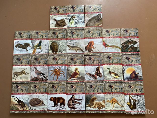 Жизнь животных Альфред Брем