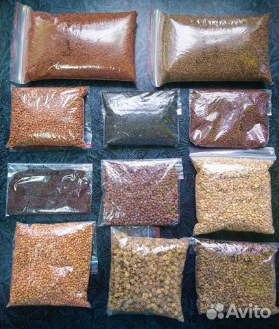 Семена для микрозелени