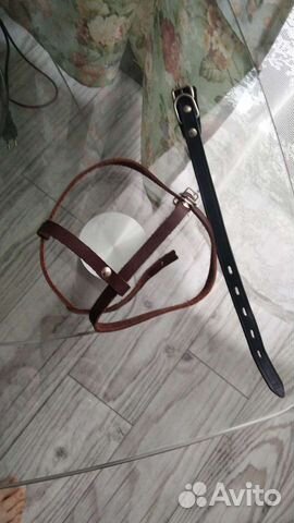 Ошейник для собак