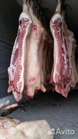 Мясо свинины п/т, полуфабрикаты