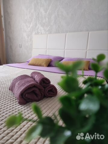 

2-к. квартира, 49,5 м², 3 кровати