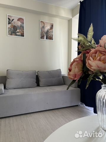 

Квартира-студия, 24 м², 10/12 эт.