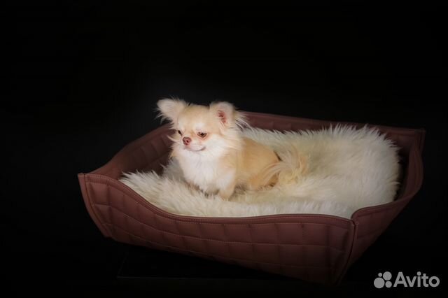 Лежанка корзина Irene Cradle для собак, кошек Лежанка корзина Irene Cradle для собак, кошек