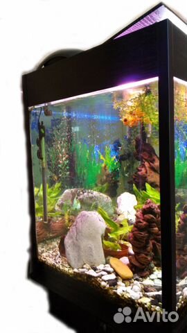 Продаю аквариум 450 литров полностью с тумбой купить на Зозу.ру - фотография № 2