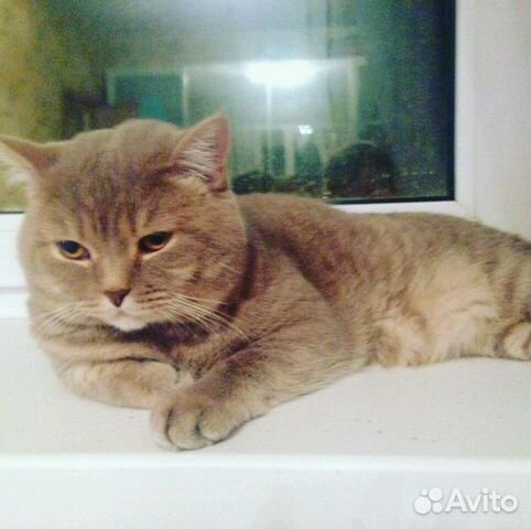 Вязка Вязка