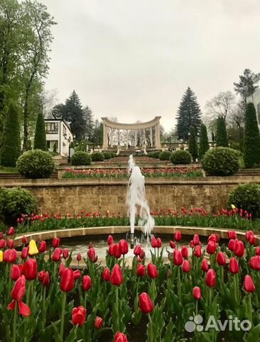 

2-к. квартира, 52 м², 3 кровати