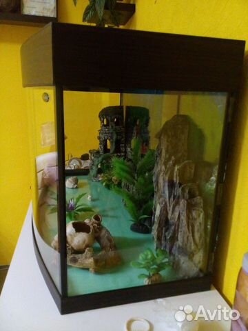 Полностью готовый аквариум купить на Зозу.ру - фотография № 6