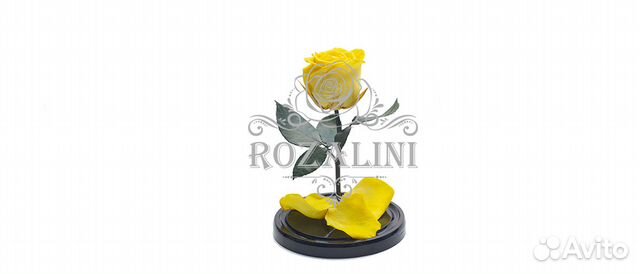 Оригинальная роза в колбе Rozalini
