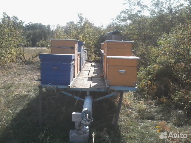 Продам пчеловодческий инвентарь купить на Зозу.ру - фотография № 4