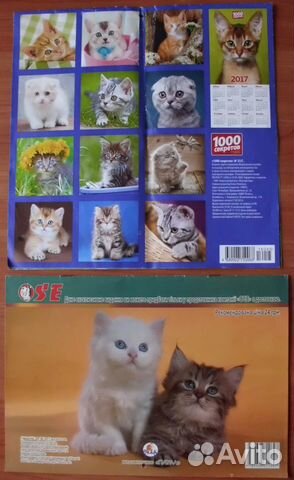 Календарь настенный 2009, 2017 Кошки и Котята 2 шт