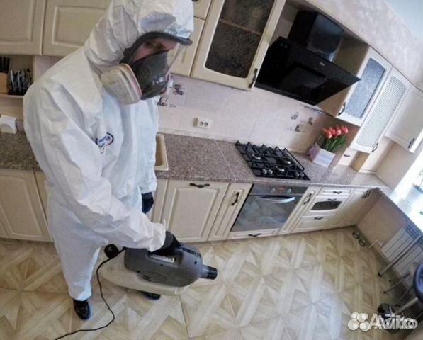 Уничтожение клопов, тараканов, блох, мышей Уничтожение клопов, тараканов, блох, мышей