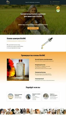 Разработаем Сайт.Доработка Сайта