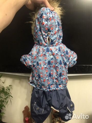 Одежда для собак