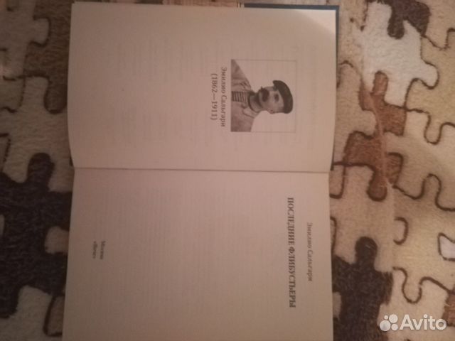 Книга последние флибустьеры