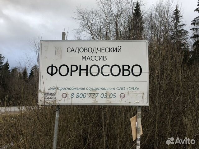 Продай мне свой участок со скидкой. Форносово Ленинградская область. СНТ Озон массива Форносово. Карта массив Форносово.