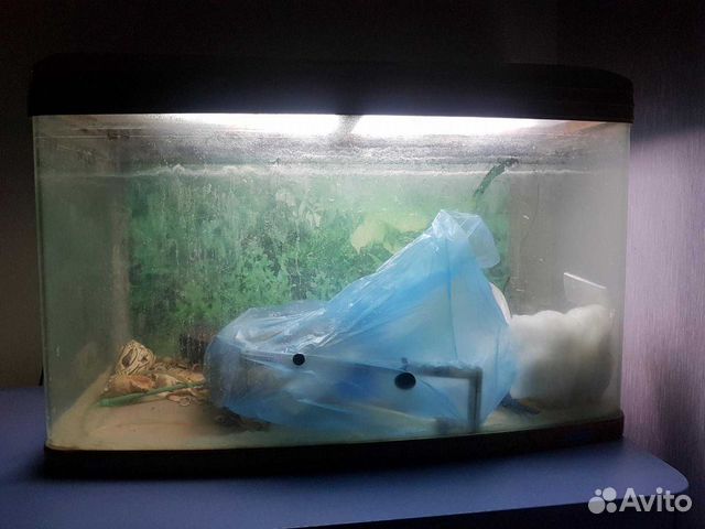 Аквариум для рыб jabo R390 купить на Зозу.ру - фотография № 2